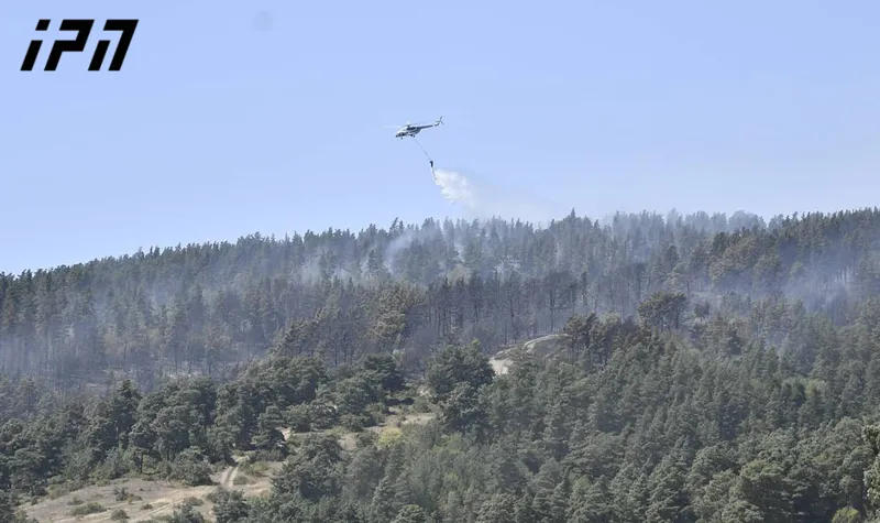 Пожар, возникший в лесном массиве у села Сакавре Горийского муниципалитета, полностью локализован